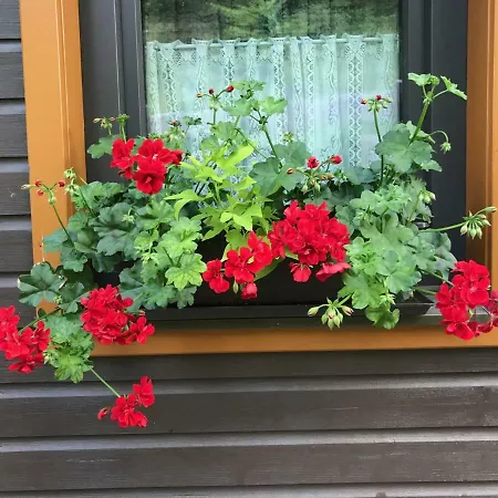 Bergfee Apartament Klippitztorl
