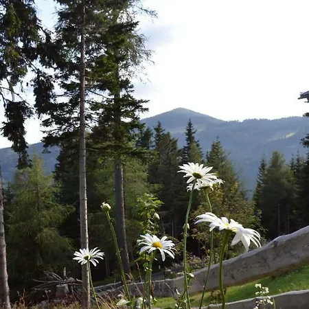 Bergfee Klippitztorl